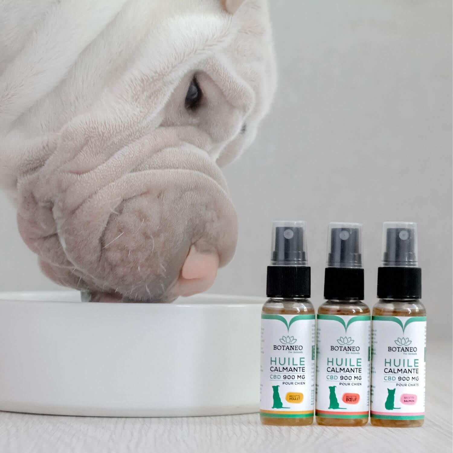 Calming CBD Oil for Dogs – BOTACALM™ - Image 2