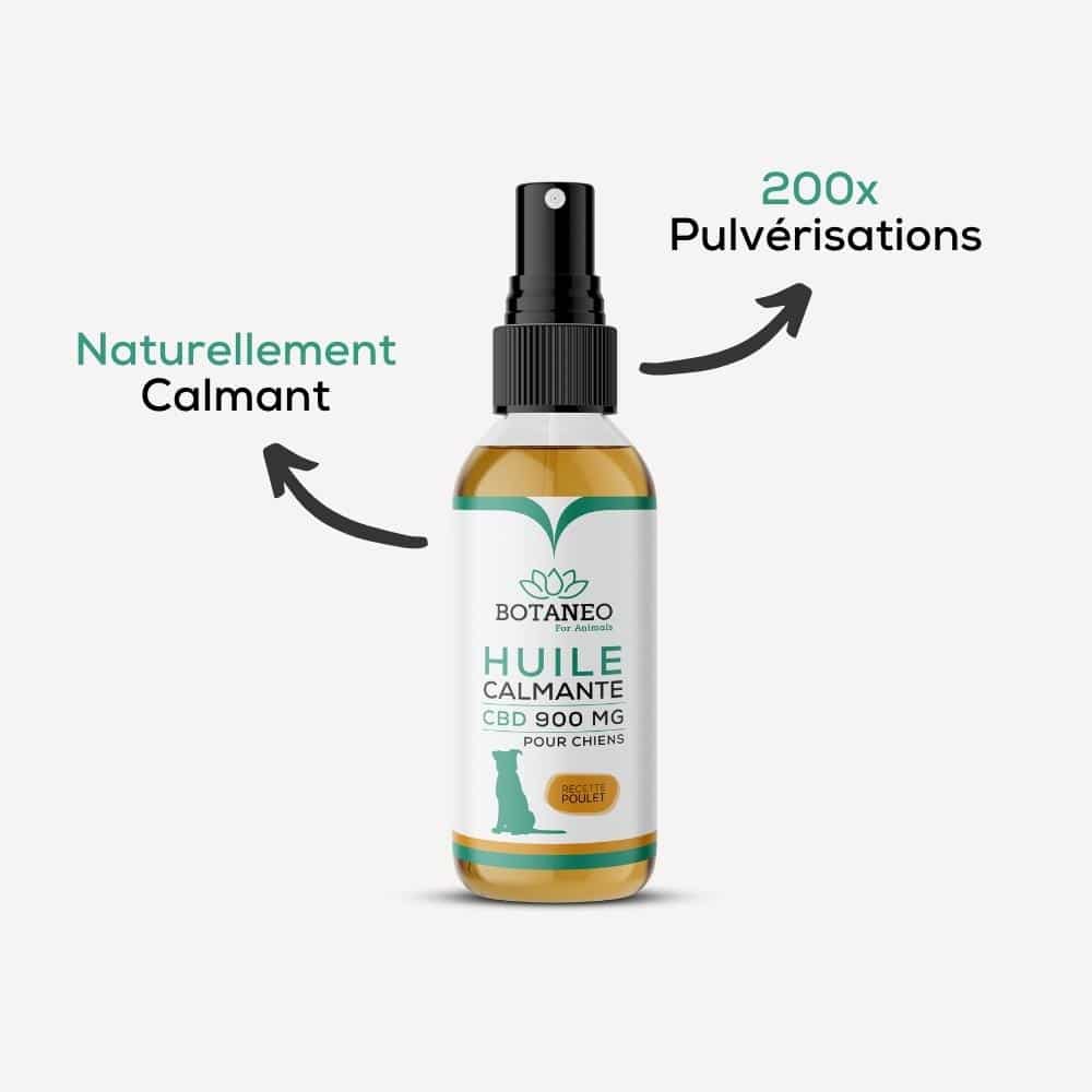 Calming CBD Oil for Dogs – BOTACALM™ - Image 3